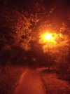 IMG_20211110_184240.webp