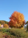 20211020_131708 (3).webp