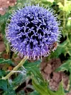 IMG_2021-10-29-12-26-56-528.webp