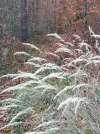 20211119_145313 (7).webp