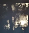 schatten.webp