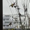 20211120_132034.webp