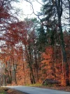 20211119_150859 (4).webp