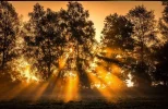 F906D844-7494-4351-B19A-1CDE3E858EE0.webp