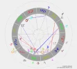 Traansite Flimm.webp