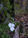 P1050333.webp