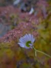 P1050345.webp