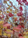 20211123_134001 (5).webp