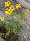 20211123_135821 (2).webp