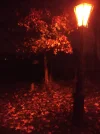 IMG_20211123_182109.webp