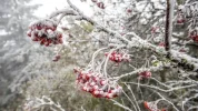IMG-20211127-WA0012.webp