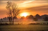 F05F6A17-6E5D-42F0-BA53-1CA3A4A2C47F.webp
