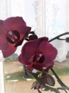 20211130_120151 (2).webp