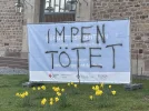 impen.webp