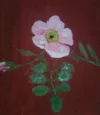Foto0270(1).webp