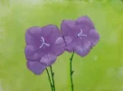 20170911_083319.webp