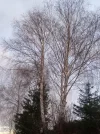 20211207_160255 (3).webp