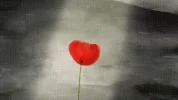 852885.jpg