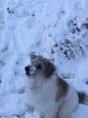 IMG-20211211-WA0004.webp