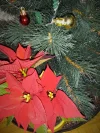 20211211_211746 (2).webp