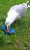 IMG-20190413-WA0003.webp