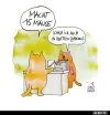 ! a 81 ratten zahlen.webp