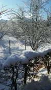20150202_102624.jpg