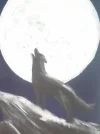 20160314_130158 (2).webp
