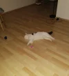 IMG_20211216_215010.webp