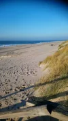 IMG-20210522-WA0017.webp