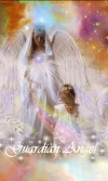 138674.webp