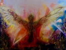 DSCF7150.webp
