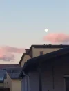 20211220_074917 (3).webp