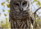 1640372153233.webp