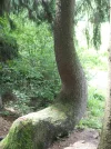 Bild 024.webp