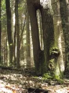 Bild 008.webp