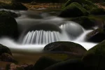 IMG_1397.webp