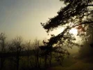 DSCN4852.webp