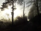 DSCN4845.JPG