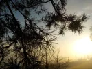 DSCN4856.webp