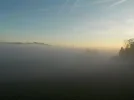 DSCN4864.webp