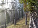 DSCN4851.JPG