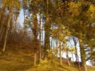 DSCN4848.webp