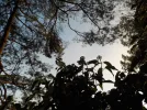 DSCN4854.webp