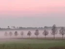 1641068849033.webp