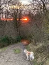 sonnenuntergang Jolie.webp