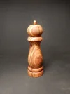 DSCN3055.webp