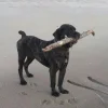 491711970243.webp