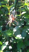 IMG-20160905-WA0003.webp