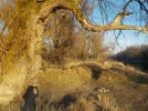 DSCN4887.webp